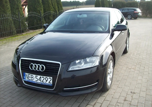 Audi A3 cena 31900 przebieg: 238100, rok produkcji 2012 z Rawicz małe 29